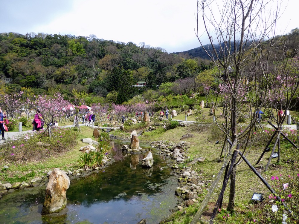Day 10.  A visit to Yangmingshan National Park and Beitou Hot Springs 